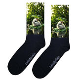 Konijn en Hamster Socks  width=