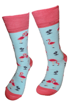 Flamingo water
