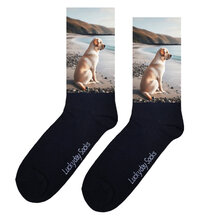 Labrador sokken