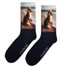 Chihuahua sokken