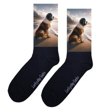 Honden sokken