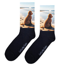 Honden sokken