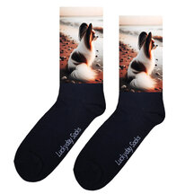 Honden sokken