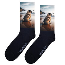 Honden sokken