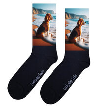 Honden sokken