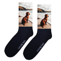 Honden sokken
