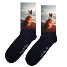 Honden sokken