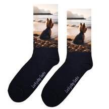 Honden sokken