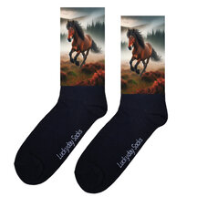 Paarden sokken