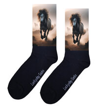Paarden sokken