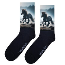 Paarden sokken