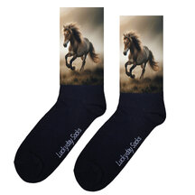 Paarden sokken