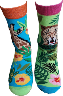 safari mismatch sokken