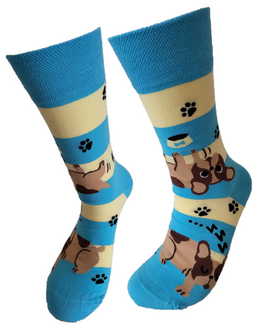 Bulldog blauwe streep