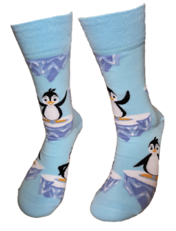 Pingu&iuml;n sokken