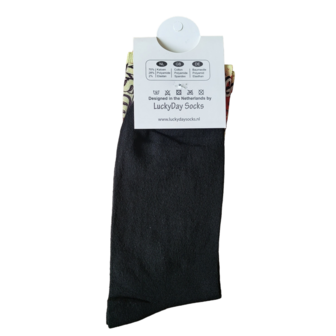 computer benjamin franklin