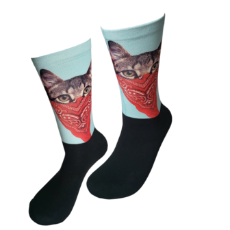 Computer boekenzakdoek poes