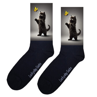zwarte kat met gele vlinder sokken