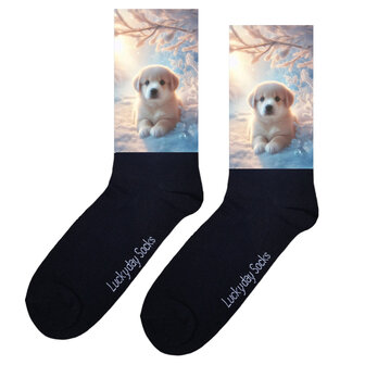 Winter golden retiever sokken