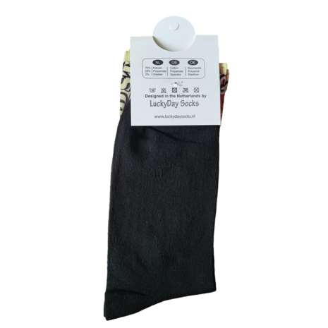 computer benjamin franklin