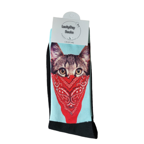 Computer boekenzakdoek poes