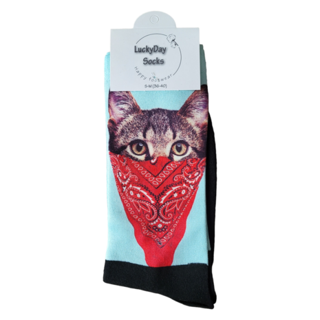 Computer boekenzakdoek poes