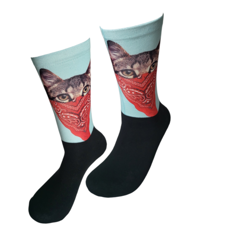 Computer boekenzakdoek poes