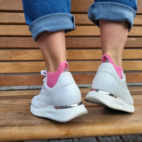 borduur meloen sneaker sok