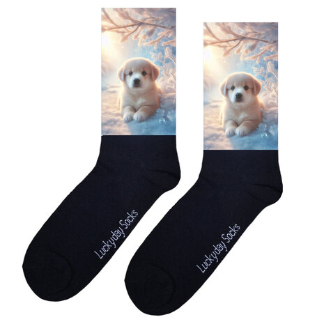 Winter golden retiever sokken