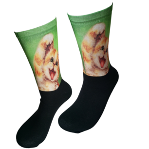 Computerprint Hi kitten