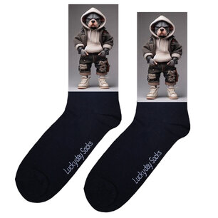 Print 087 Hoody Pitbull