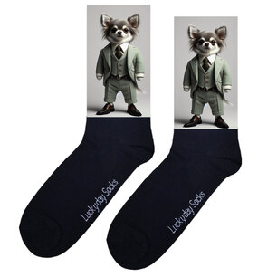 Print 088 Suit Chihuahua grijs