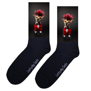 Print 141 Punk Jackrussel