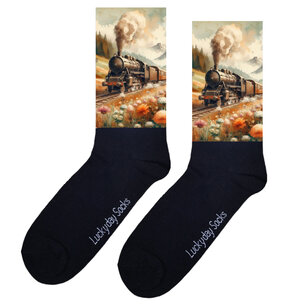 Print 326 Locomotief