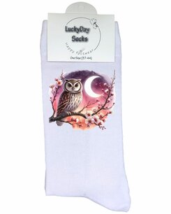 348 Print Uil avondrood