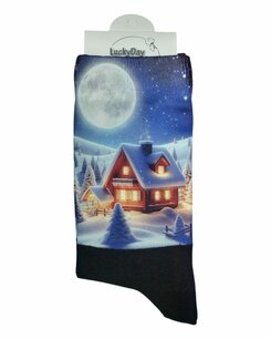 356 Print Winterhuis 