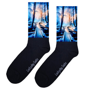 383 Print Winter bos plankenpad