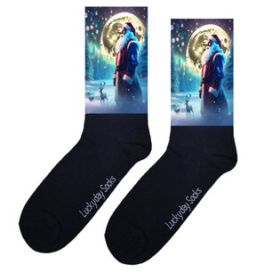 Print 389 Kerstman grote maan noorderlicht