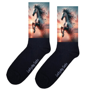 Print 406 Paard schimmel avondrood