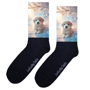 Print 549 Winter golden retiever