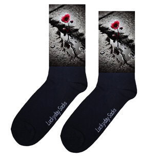 Print 688 Klaproos gat straat