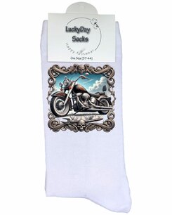 Print 646 Motor schedel