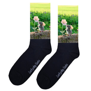 Print 837 Veldmuis bloemveld