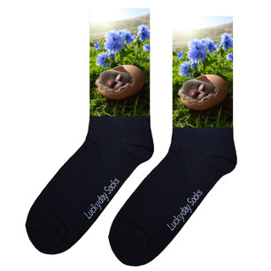 Print 842 Mol slaapt in ei blauwe bloemen