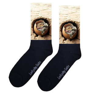 Print 846 Hamster ei stoep