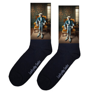 Print 1045 Fluweel pak labrador