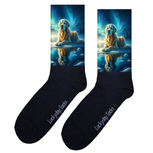 Print 1182 Labrador ijs