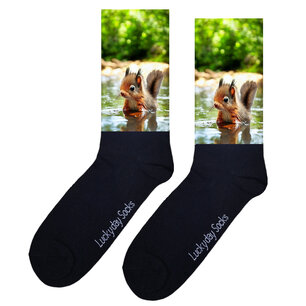 Print 1242 Eekhoorn beekje