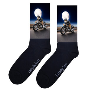 Print 1244 Motor kat