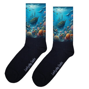 Print 1348 Gezonken schip